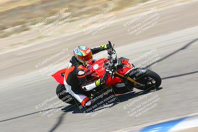 media/Aug-06-2023-TrackDaz (Sun) [[ac7f4f6367]]/A Group/cotton corners/